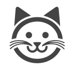 Kot